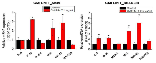 A549 및 BEAS-2B 세포에서 CMIT/MIT의 케모카인 유전자 발현에 대한 영향조사