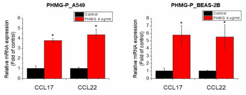 A549 및 BEAS-2B 세포에서 PHMG-P의 CCCL17, CCL22 유전자 발현에 대한 영향조사