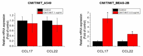 A549 및 BEAS-2B 세포에서 CMIT/MIT의 CCCL17, CCL22 유전자 발현에 대한 영향조사