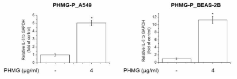 A549 및 BEAS-2B 세포에서 PHMG-P의 IL-6 유전자 발현에 대한 영향조사
