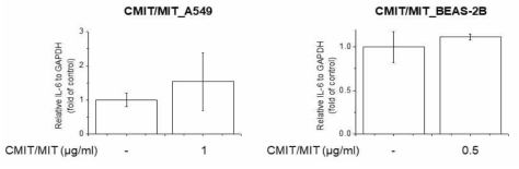 A549 및 BEAS-2B 세포에서 CMIT/MIT의 IL-6 유전자 발현에 대한 영향조사