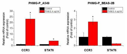 A549 및 BEAS-2B 세포에서 PHMG-P의 CCR3, STAT6 유전자 발현에 대한 영향조사