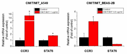 A549 및 BEAS-2B 세포에서 CMIT/MIT의 CCR3, STAT6 유전자 발현에 대한 영향조사