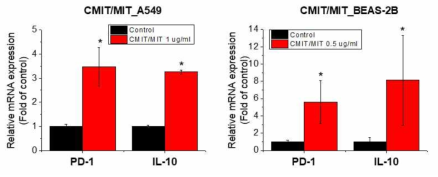 A549 및 BEAS-2B 세포에서 CMIT/MIT의 PD-1, IL-10 유전자 발현에 대한 영향조사