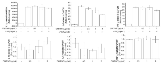 RAW264.7 세포에서 CMIT/MIT의 염증성 사이토카인의 유전자 발현에 대한 영향 조사