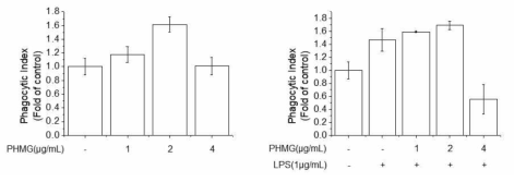 RAW264.7 세포에서 PHMG-P의 식작용 활성에 대한 영향 조사