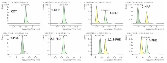 PAH 대사체류, Cotinine, 3-PBA 크로마토그램 (standard-spiked sample: 2 ng/mL)