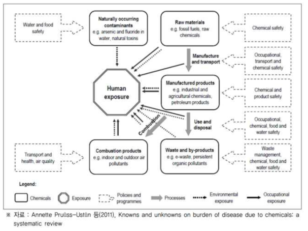 화학물질로 인해 초래된 질병에 관한 체계도