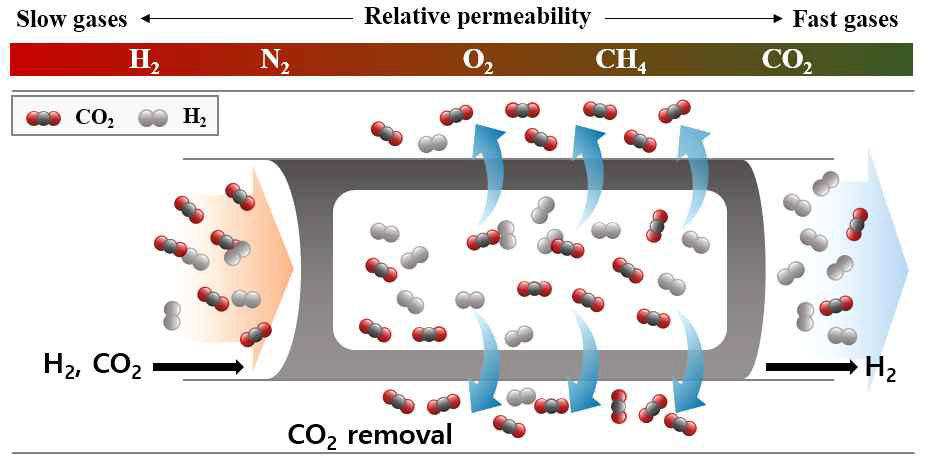고무상 고분자 기체분리막의 상대적 투과속도 및 분리특성