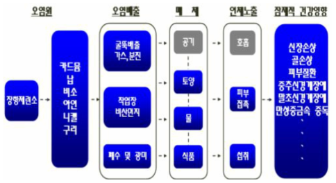 중금속 노출 시나리오 사례