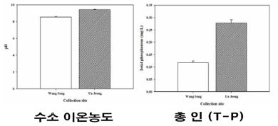 녹조 현상 발생지역의 환경 조건 분석