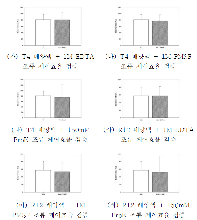 기확보 환경 박테리아 (T4, R12) 유래 분비물질의 성질파악