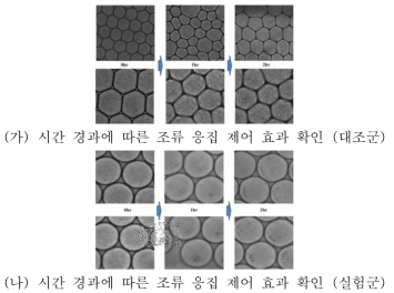 미세유체 장치를 활용한 천적 생물 (D. magna) 배양액의 조류 (M. aeruginosa) 응집 제어 가능성 검증