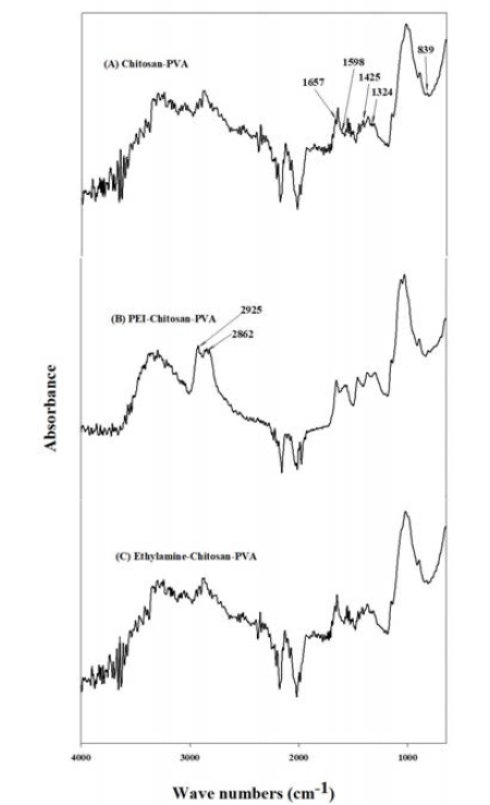 키토산 (Chitosan)-합성폴리머 (PVA, polyvinylalcohol 지지체 소재의 FT-IR을 이용한 표면 작용기 분석