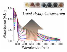 멜라닌의 자외선-가시광선-적외선 영역의 넓은 파장 흡광 성질