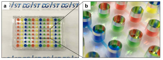 (a) 96웰 포맷 기반 미세유체 칩, (b) 미세 유체 채널로 연결된 Half-area 96웰 챔버 확대 사진