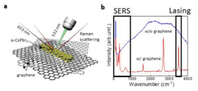 a. 그래핀-페로브스카이트-그래핀 샌드위치 구조체에 대한 라만분 광실험 묘사. b. 그래핀이 없을 때(파랑)와 있을 때(빨강)의 라만분광실험