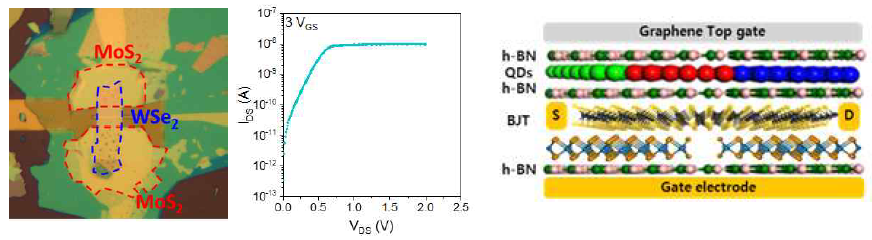 (좌) 이차원 물질 기반의 CMOS 이미지와 전기적 특성 및 (우) 차세대 메모리 소자 구조