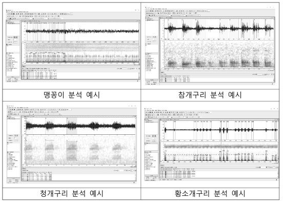 양서류 음원 분석 예시