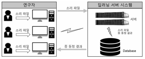 종 동정 시스템 개념도