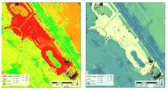 안산시 갈대습지공원 붉은귀거북 위치 데이터와 고해상도 분광 영상 (좌 : NDVI, 우 : NDWI) 간 관계