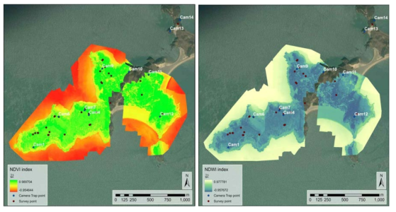 굴업도 대만꽃사슴 위치 데이터와 고해상도 분광 영상 index(좌 : NDVI, 우 : NDWI) 간 관계