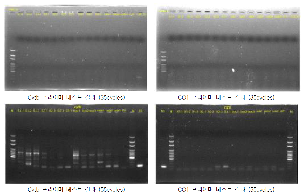 환경 DNA 샘플을 통안 천안시 천호지 붉은귀거북(종 특이적 프라이머 이용) 서식 여부 평가