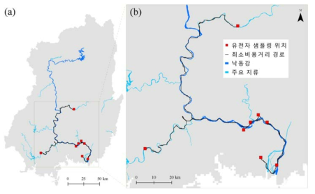 (a) 낙동강 유역 뉴트리아 8개 개체군을 연결하는 최소비용경로와 (b) 주요 경로 확대 지도