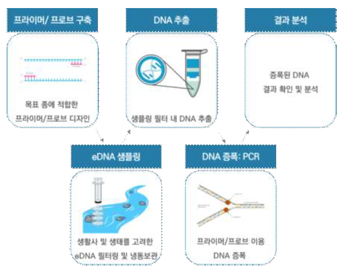 eDNA 추출 방법 * 출처: 본 연구진 작성자료