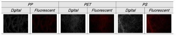 Microplastics(Fiber) using Nile red staining from N-Haxane (stock : ACT)