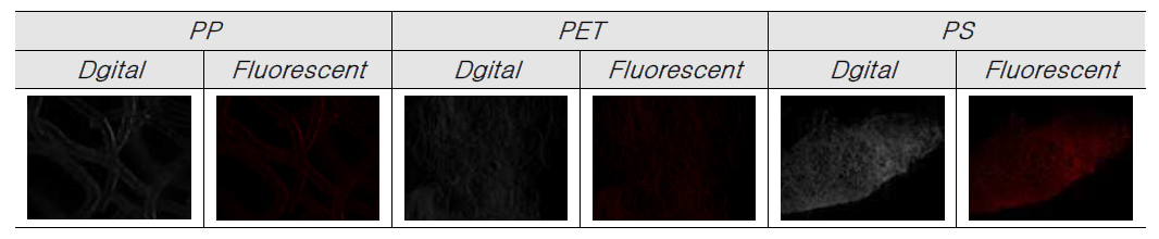 Microplastics(Fiber) using Nile red staining from MeOH