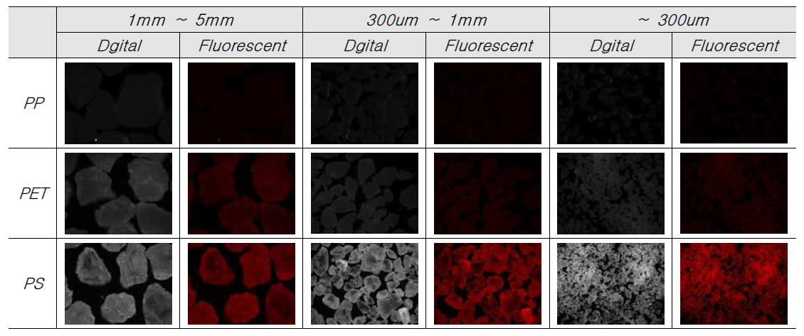 Microplastics(Particle) using Nile red staining from N-Haxane (stock : ACT)