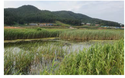 충남 태안군 원북면 신두리 1139-91