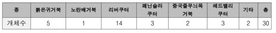 전수조사를 통해 확인한 외래거북 종 및 개체수