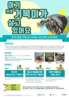 CADA 거북 프로젝트 홍보 포스터