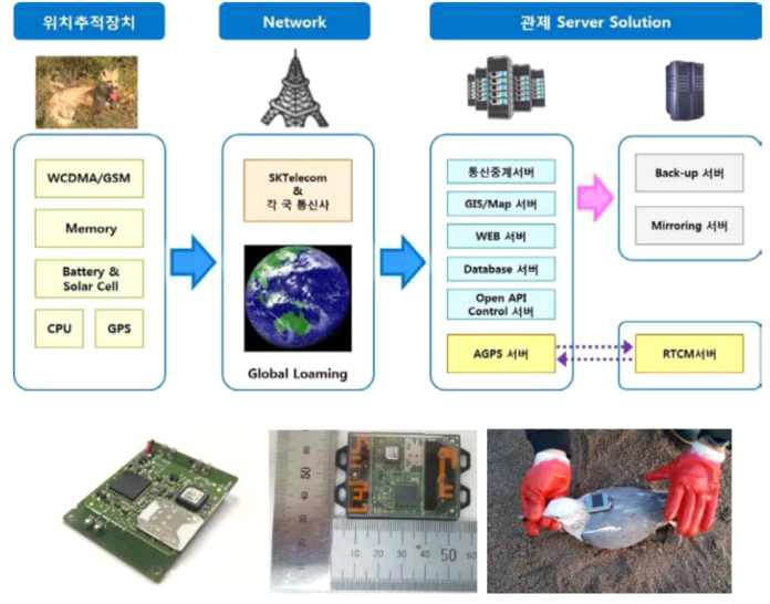 IoT 기반 초소형 초경량 야생동물 위치정보 수집 장치 개발