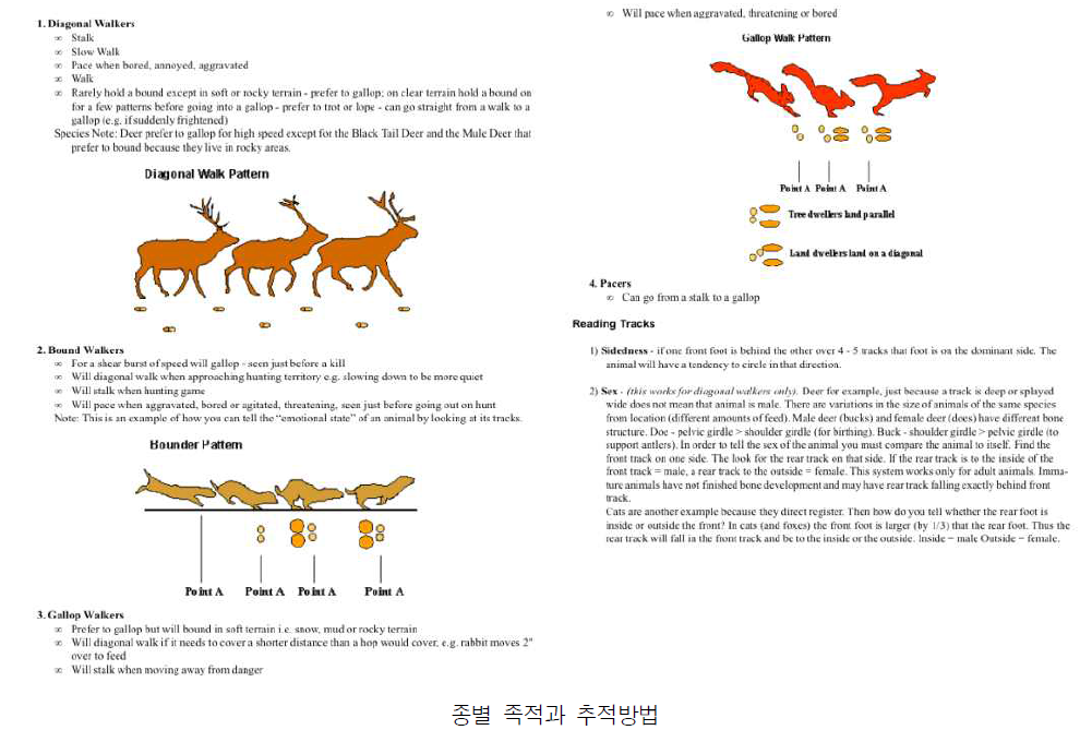 Guide to Animal Tracking * 출처 : Princeton University. 1995