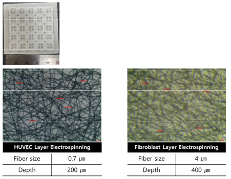 3D 프린팅 층 위 전기방사 나노 섬유층 제작