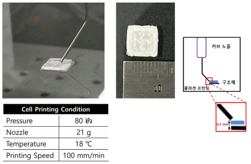바이오잉크를 활용한 바이오프린팅 공정 조건