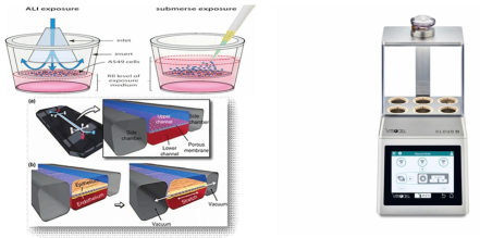 ALI 3차원 배양과 폐칩 (좌), Vitrocell system (우)