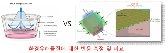 환경유해물질 노출 반응 비교