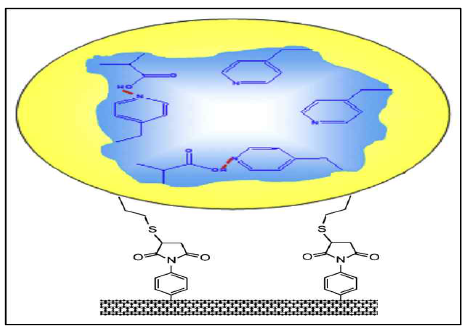 탄소나노튜브 표면에 분자각인 고분자 합성 항체 제작 방법 (T.S. Anirudhan et al. / Polymer 146 (2018) 312e320)