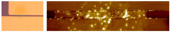 (a)채널 사이에 인쇄된 CNT 잉크의 Optical Mircoscope 이미지 (b) 같은 위치의 AFM 이미지