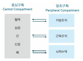 컴파트먼트 모델의 모식도