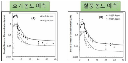 PBPK 모델을 바탕으로 흡입경로를 통한 호기 중 농도 및 혈중 농도 예측 시뮬레이션 모식도