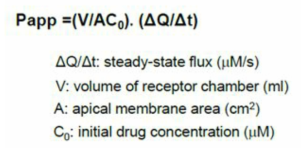 in vitro permeability 계산식