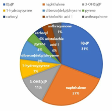 PAHs 연구물질 비율