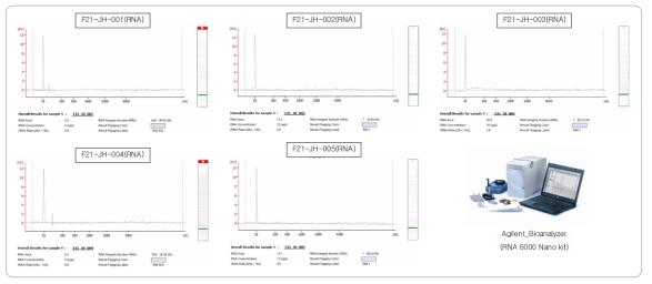 . 파일럿 스터디용 시료로부터 분리된 Total RNA QC 결과
