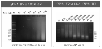 . gDNA 농도별, 단편화 조건별 단편화 결과