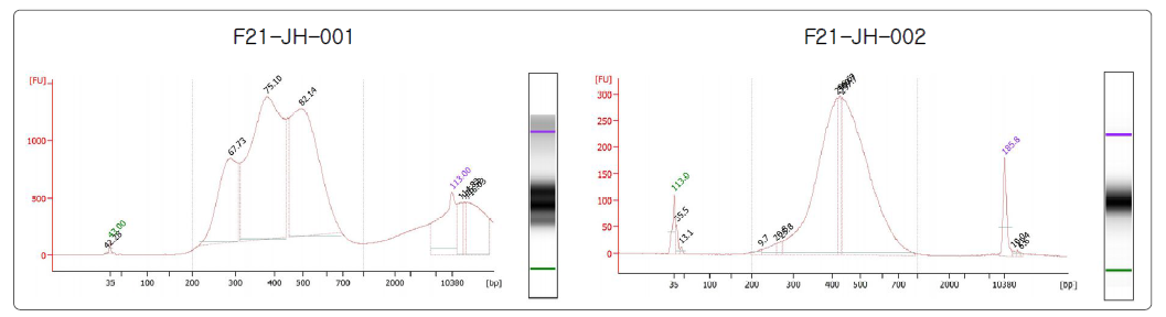 후성 유전체 분석(MeDIP-seq)을 위한 제작된 라이브러리 QC 결과